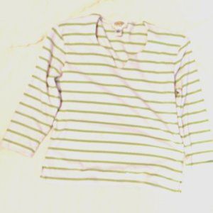 Talbots Petite tee